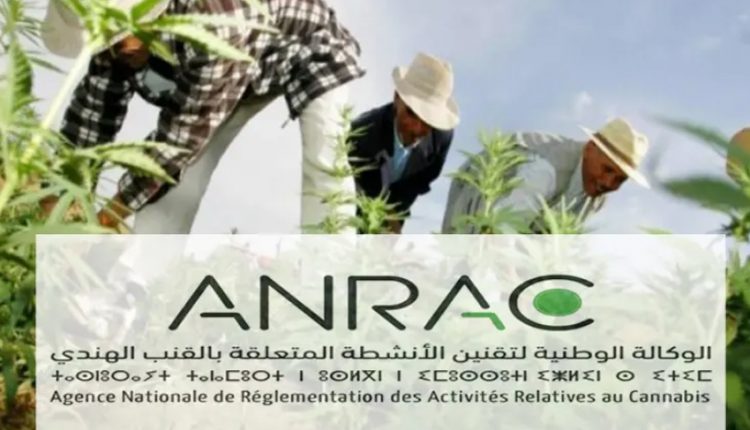 الوكالة الوطنية لتقنين الأنشطة المتعلقة بالقنب
