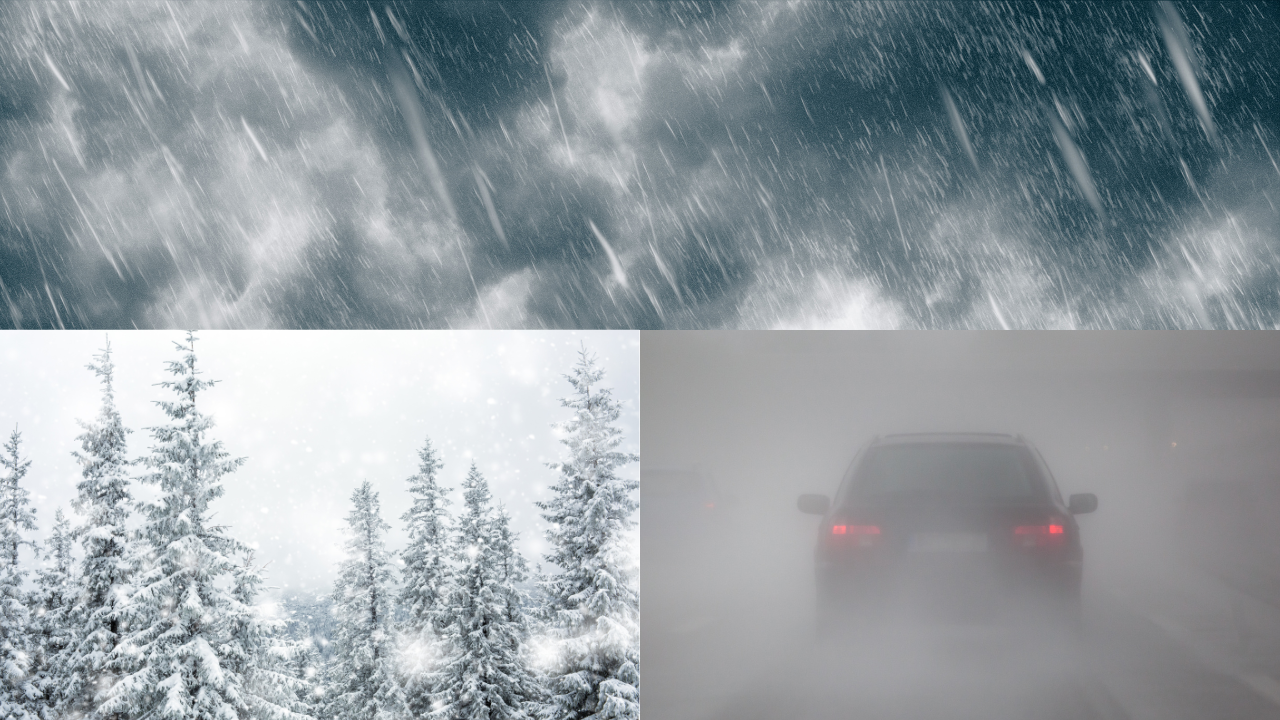 %D8%AA%D9%88%D9%82%D8%B9%D8%A7%D8%AA %D8%A3%D8%AD%D9%88%D8%A7%D9%84 %D8%A7%D9%84%D8%B7%D9%82%D8%B3 %D8%A7%D9%84%D9%8A%D9%88%D9%85 %D8%A7%D9%84%D8%A7%D8%AB%D9%86%D9%8A%D9%86