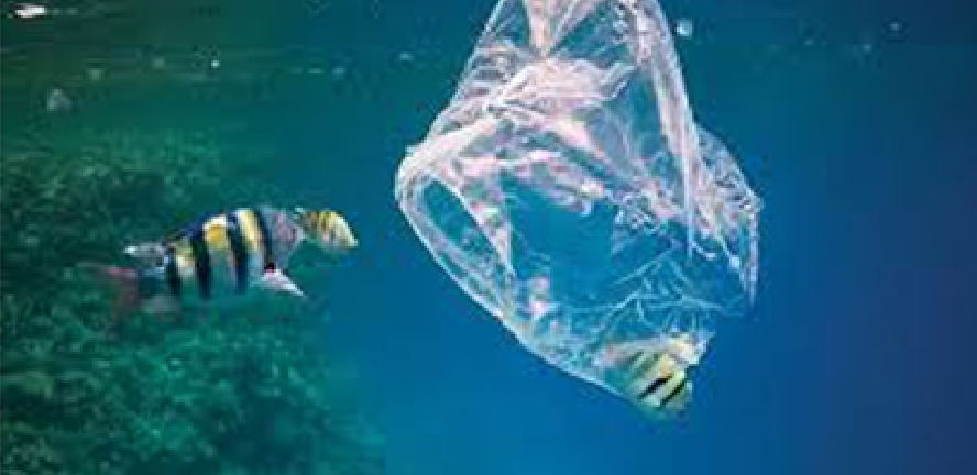 %D9%8A%D8%A7%D8%A8%D8%A7%D9%86