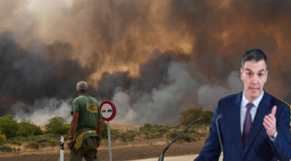 %D8%A7%D8%B3%D8%A8%D8%A7%D9%86%D8%A8%D8%A7