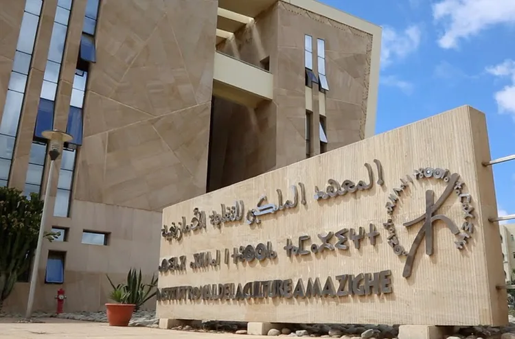 المعهد الملكي للثقافة الأمازيغية يحتفي باليوم العالمي للتنوع الثقافي من أجل الحوار والتنمية المعهد الملكي للثقافة الأمازيغية يحتفي باليوم العالمي للتنوع الثقافي من أجل الحوار والتنمية