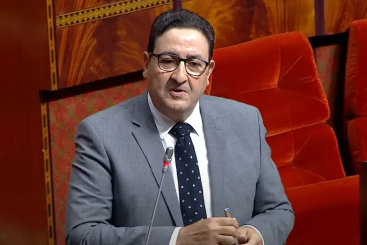 عبد الصمد قيوح: نسبة إنجاز خط القطار فائق السرعة بين القنيطرة ومراكش بلغت 30 في المائة عبد الصمد قيوح: نسبة إنجاز خط القطار فائق السرعة بين القنيطرة ومراكش بلغت 30 في المائة