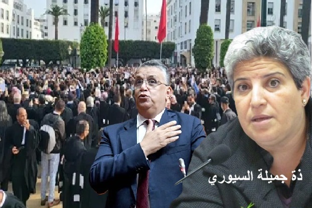 ذة جميلة السيوري: حين يتحول الدفاع عن القانون إلى مصادرة حق المحامين في الاختلاف ذة جميلة السيوري: حين يتحول الدفاع عن القانون إلى مصادرة حق المحامين في الاختلاف