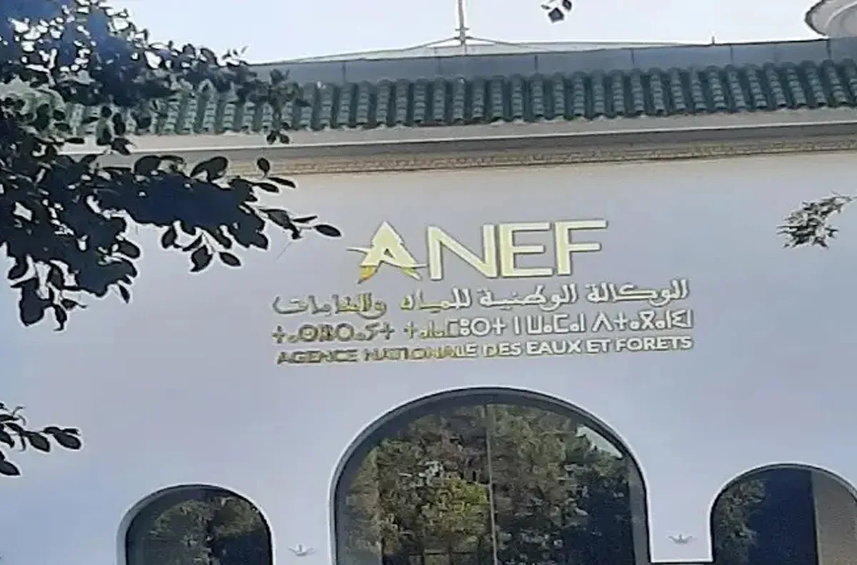 الوكالة الوطنية للمياه والغابات تصدر خرائط تنبؤ تحدد بدقة المناطق الحساسة والمعرضة لخطر اندلاع الحرائق الغابوية للفترة من 11 إلى 15 شتنبر الجاري الوكالة الوطنية للمياه والغابات تصدر خرائط تنبؤ تحدد بدقة المناطق الحساسة والمعرضة لخطر اندلاع الحرائق الغابوية للفترة من 11 إلى 15 شتنبر الجاري